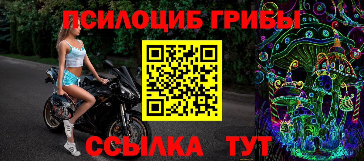 Галлюциногенные грибы Cubensis Зеленодольск
